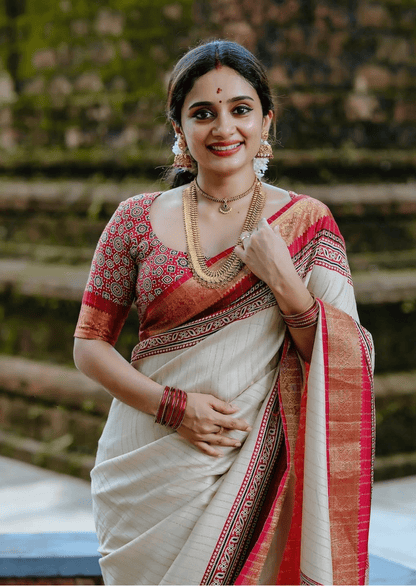 Arya Heritage Dola Silk Saree-2