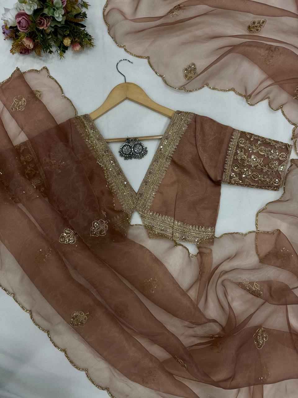 Noor-e-Zehra Brown Organza Saree-2